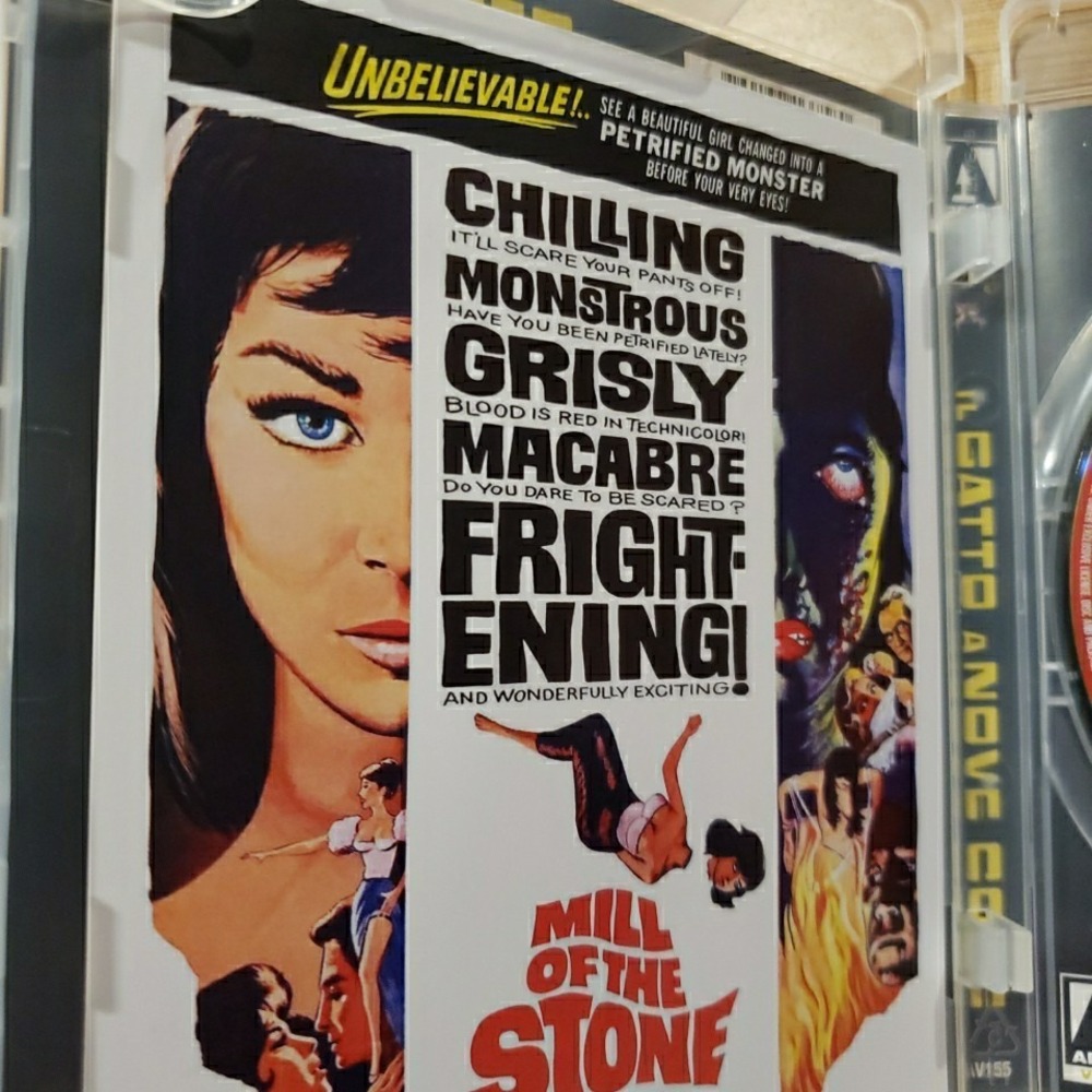 The Cat o Nine Tails 1971 Arrow Video Blu-ray Pre Owned - Picture 4 of 4